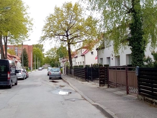 Klaipėda, Miškas