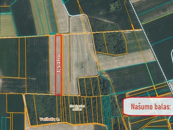 Pasvalio r. sav., Kiemėnai