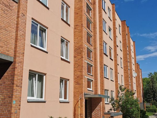Panevėžys, Tulpės