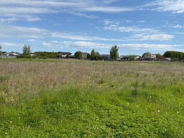 Panevėžio r. sav., Dembava