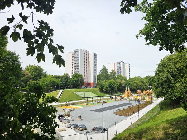 Kaunas, Dainava