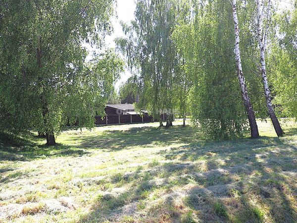 Panevėžys, Rožės