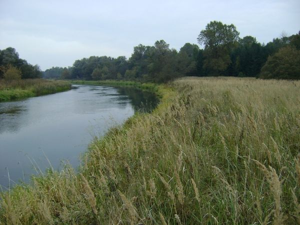 Ukmergės r. sav., Knitiškiai