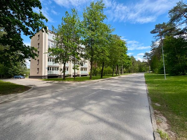 Druskininkų sav., Druskininkai