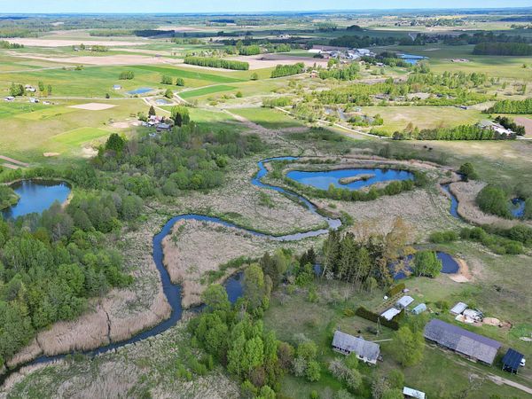 Širvintų r. sav., Jauniūnai