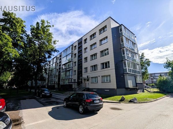 Panevėžys, Centras