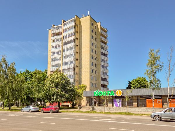 Panevėžys, Centras