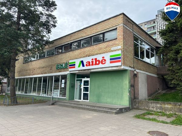 Alytus, Vidzgiris