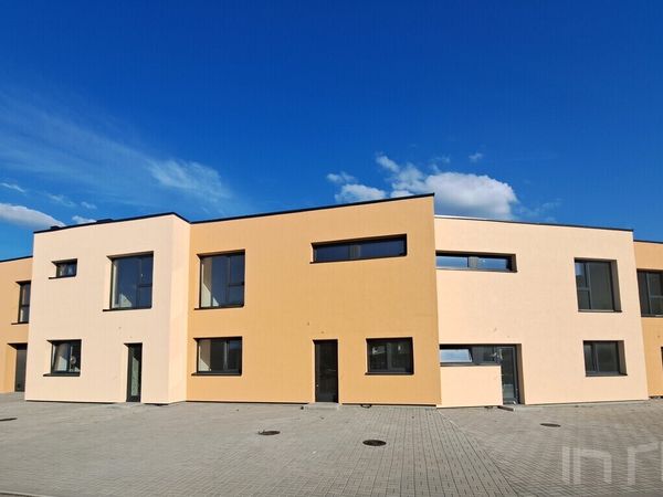 Kaunas, Dainava