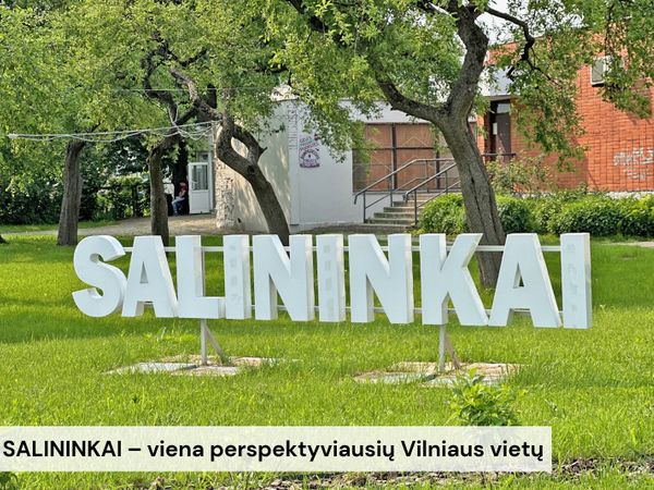 Vilnius, Salininkai