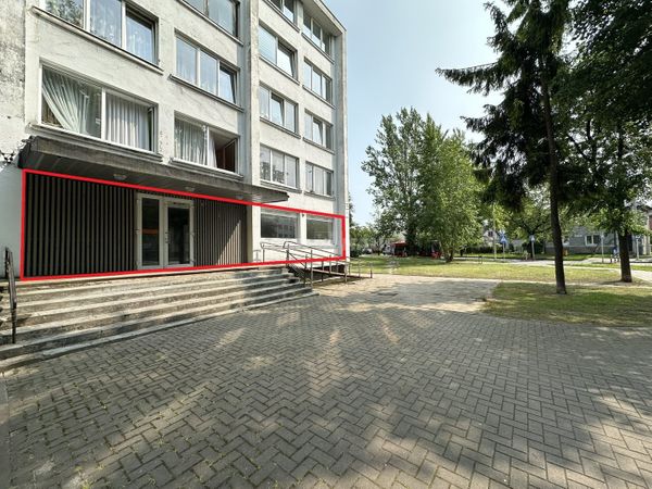 Panevėžys, Centras