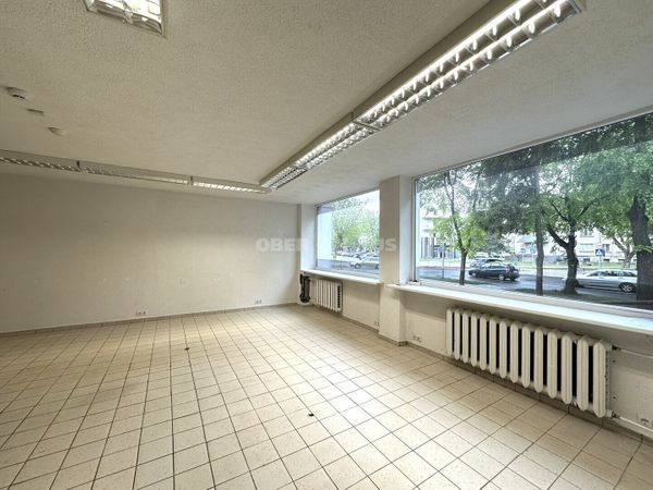 Panevėžys, Centras