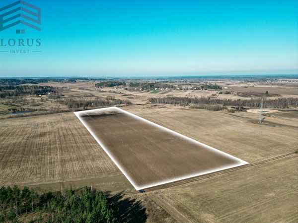 Vilniaus r. sav., Pajuodžiai