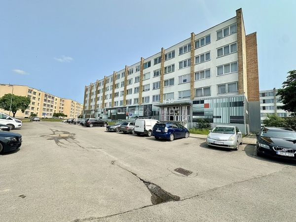 Panevėžys, Centras