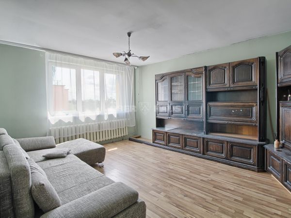 Pakruojo r. sav., Pakruojis