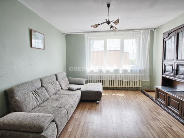 Pakruojo r. sav., Pakruojis