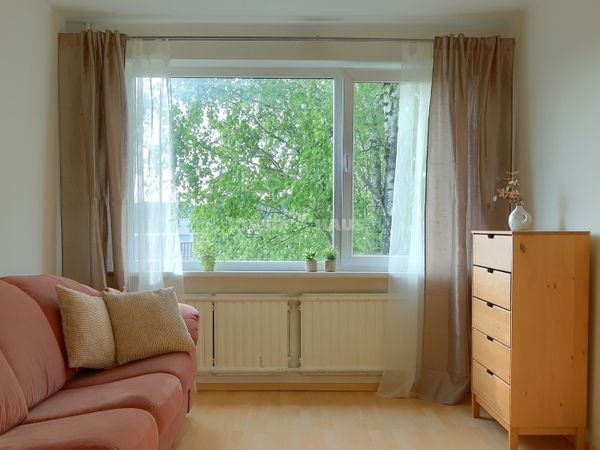 Vilnius, Šnipiškės