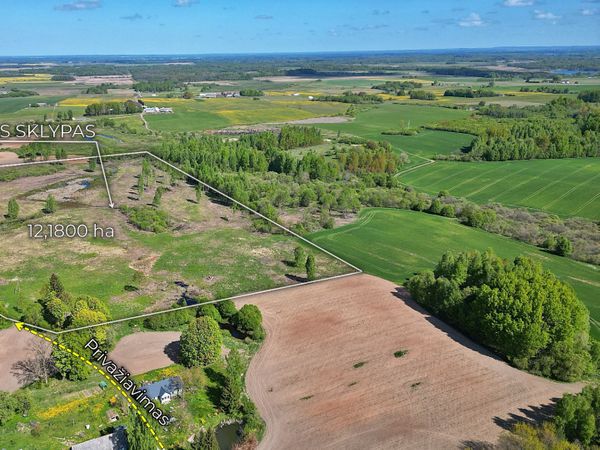 Širvintų r. sav., Balkūnai