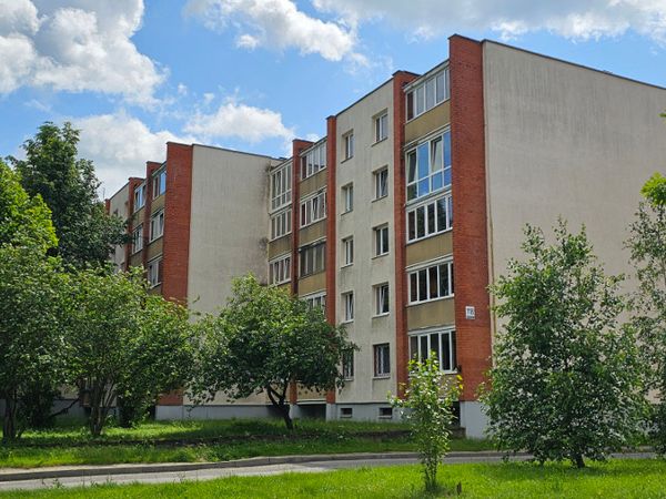 Panevėžys, Centras