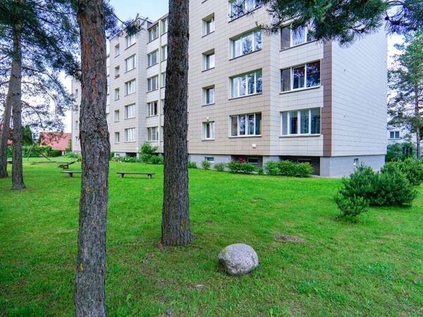 Biržų r. sav., Biržai