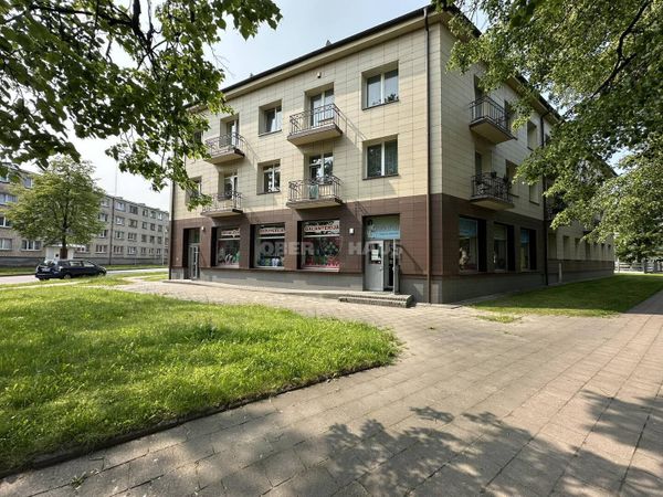 Panevėžys, Centras