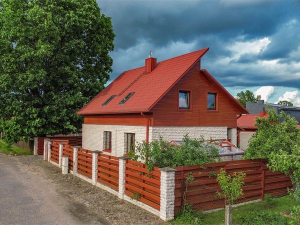 Panevėžys, Tulpės