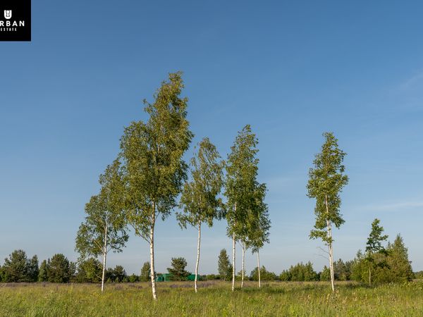 Vilniaus r. sav., Skaidiškės