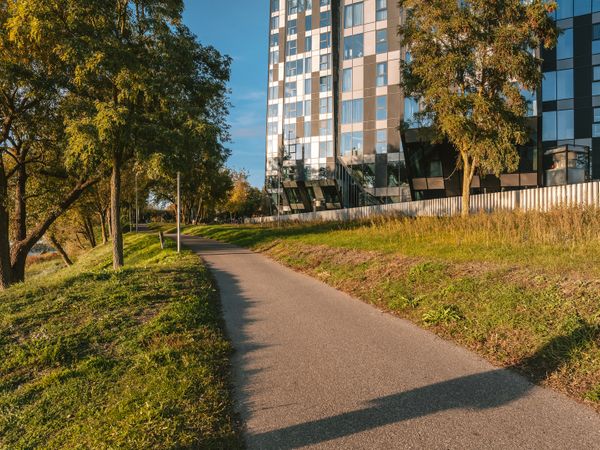Kaunas, Žemieji Šančiai
