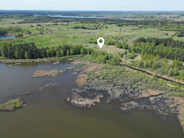 Molėtų r. sav., Grybėnai