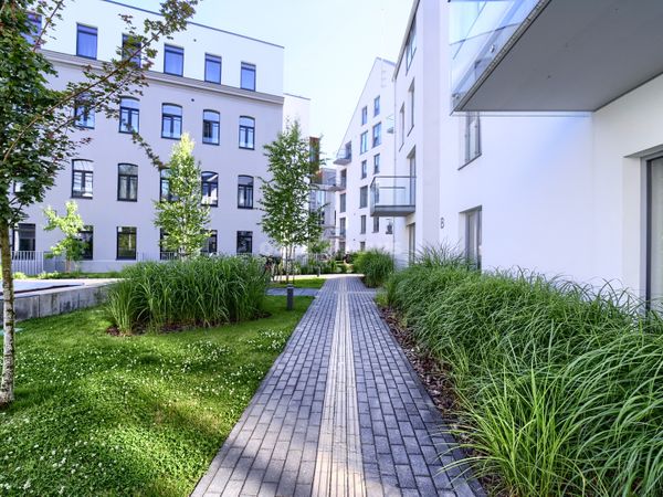 Vilnius, Paupys