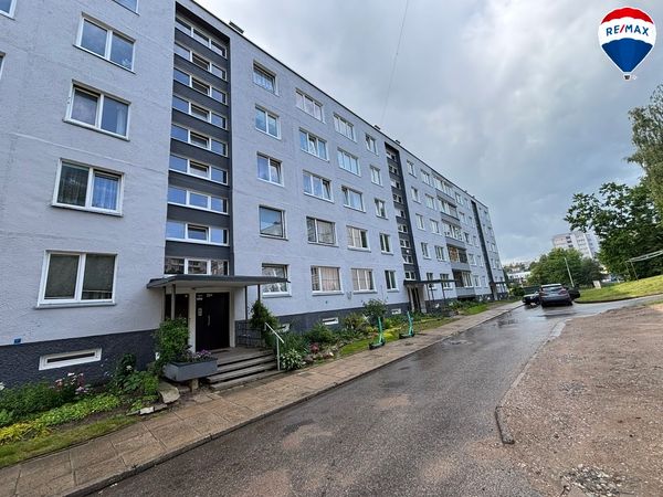 Alytus, Vidzgiris