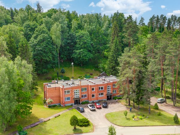 Trakų r. sav., Stirniai