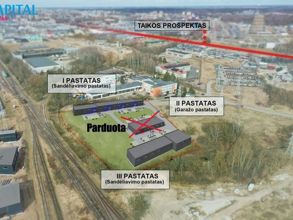 Kaunas, Dainava