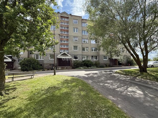 Šiauliai, Gytariai