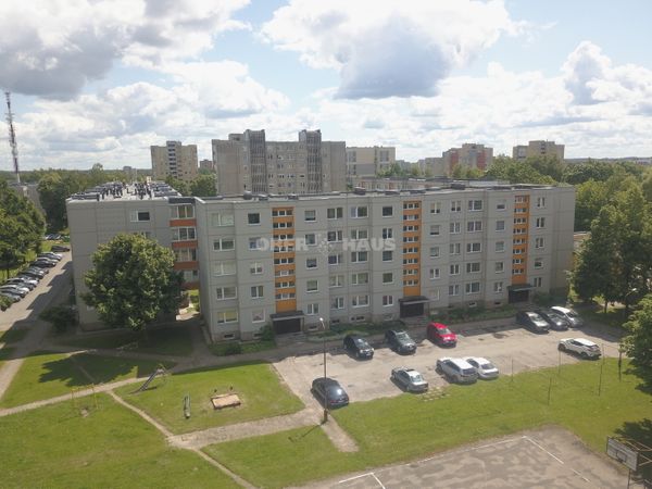 Šiauliai, Gytariai