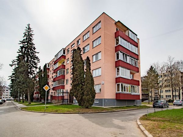 Panevėžys, Tulpės