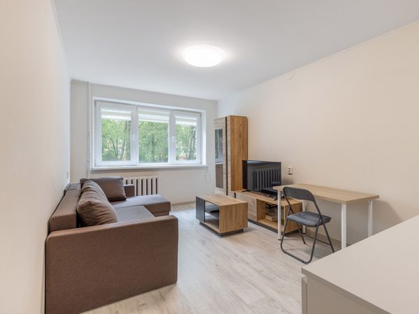 Kaunas, Dainava
