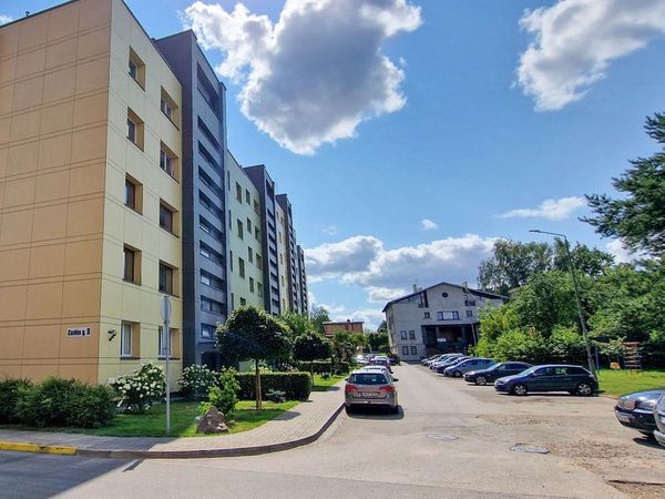 Kaunas, Žaliakalnis