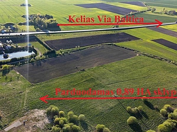 Panevėžio r. sav., Uliūnai