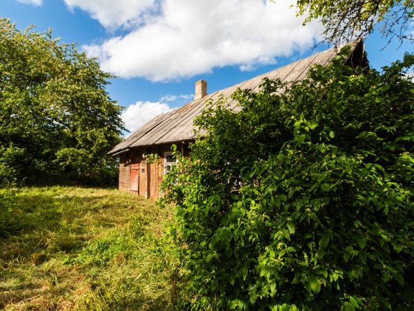 Kaišiadorių r. sav., Mičiūnai