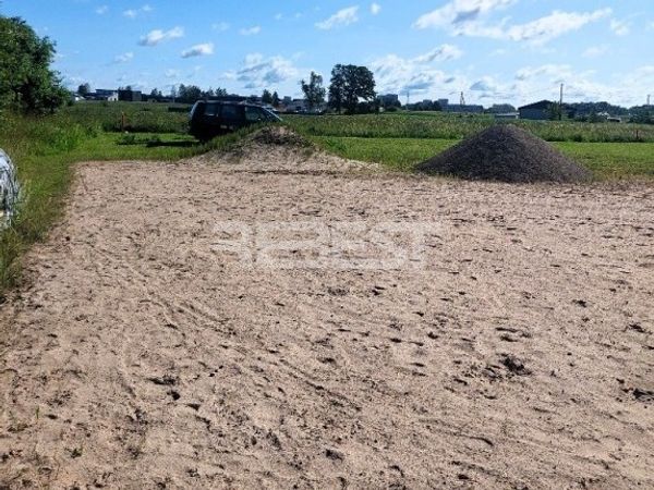 Šiaulių r. sav., Dainos