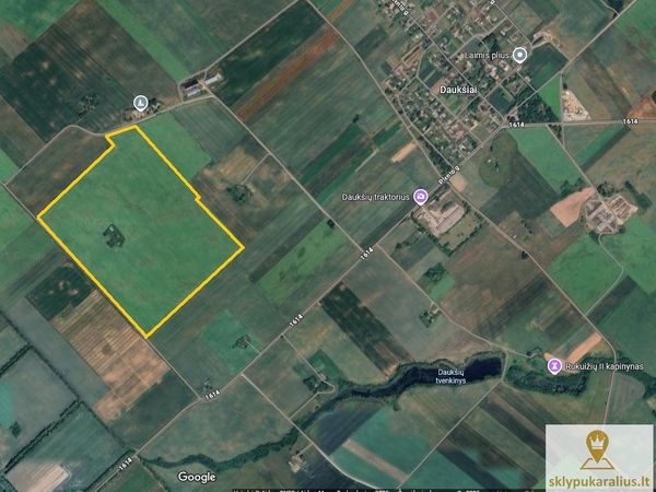 Joniškio r. sav., Daukšiai