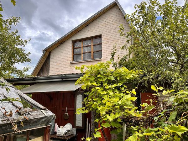 Panevėžio r. sav., Naujikai