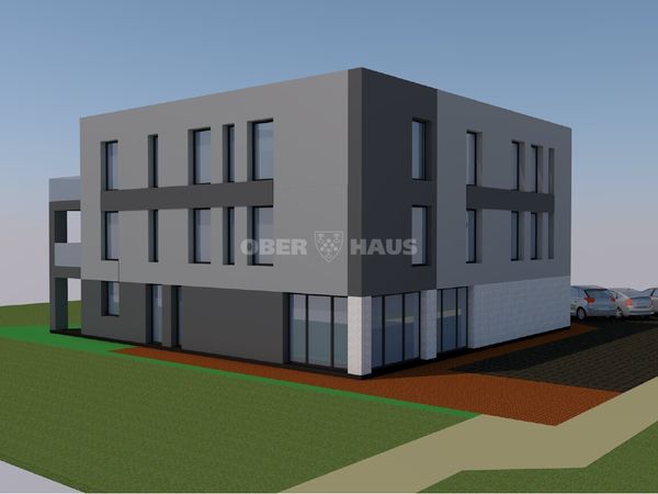 Panevėžys, Pilėnai