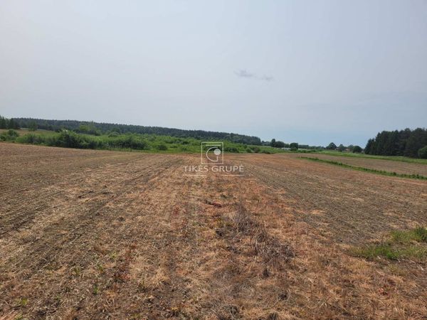 Klaipėdos r. sav., Rokai
