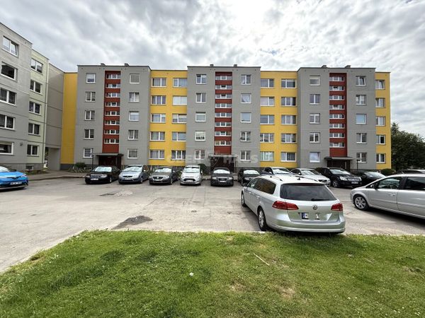 Šiauliai, Gytariai