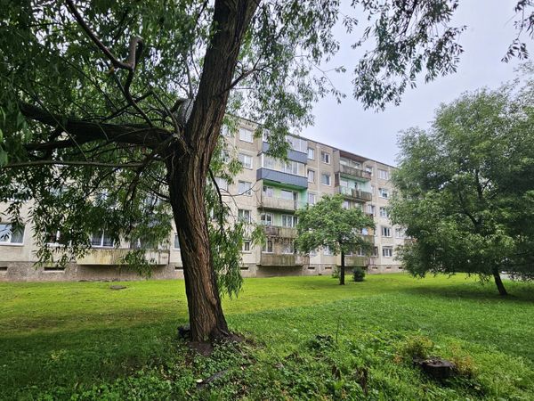 Kaunas, Dainava