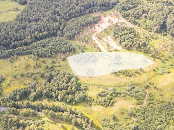 Molėtų r. sav., Grybėnai