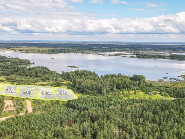 Molėtų r. sav., Grybėnai