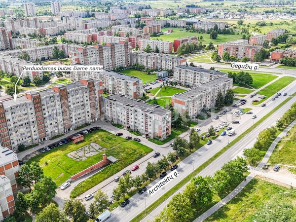Šiauliai, Lieporiai